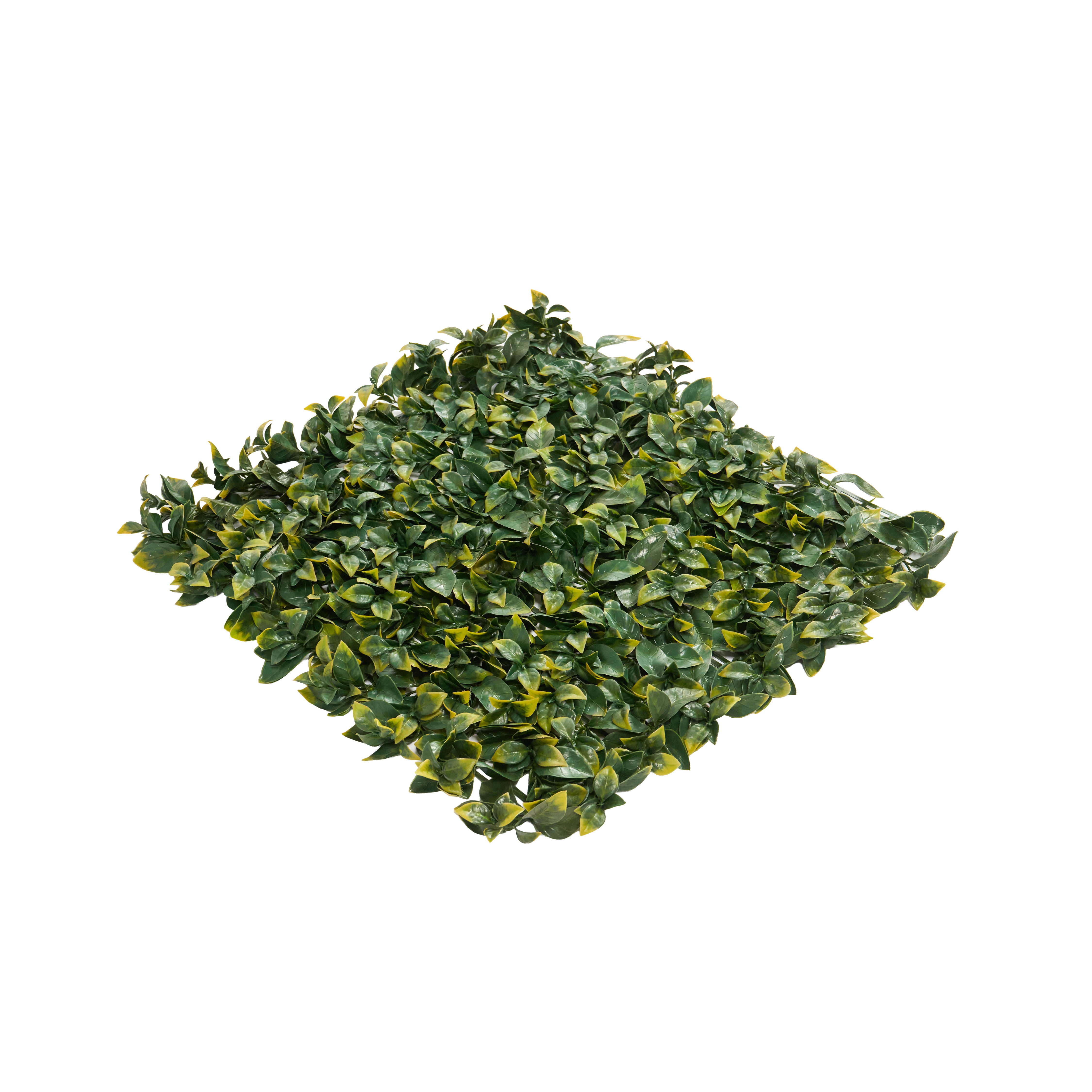 Envywall Benjamina Boxwood