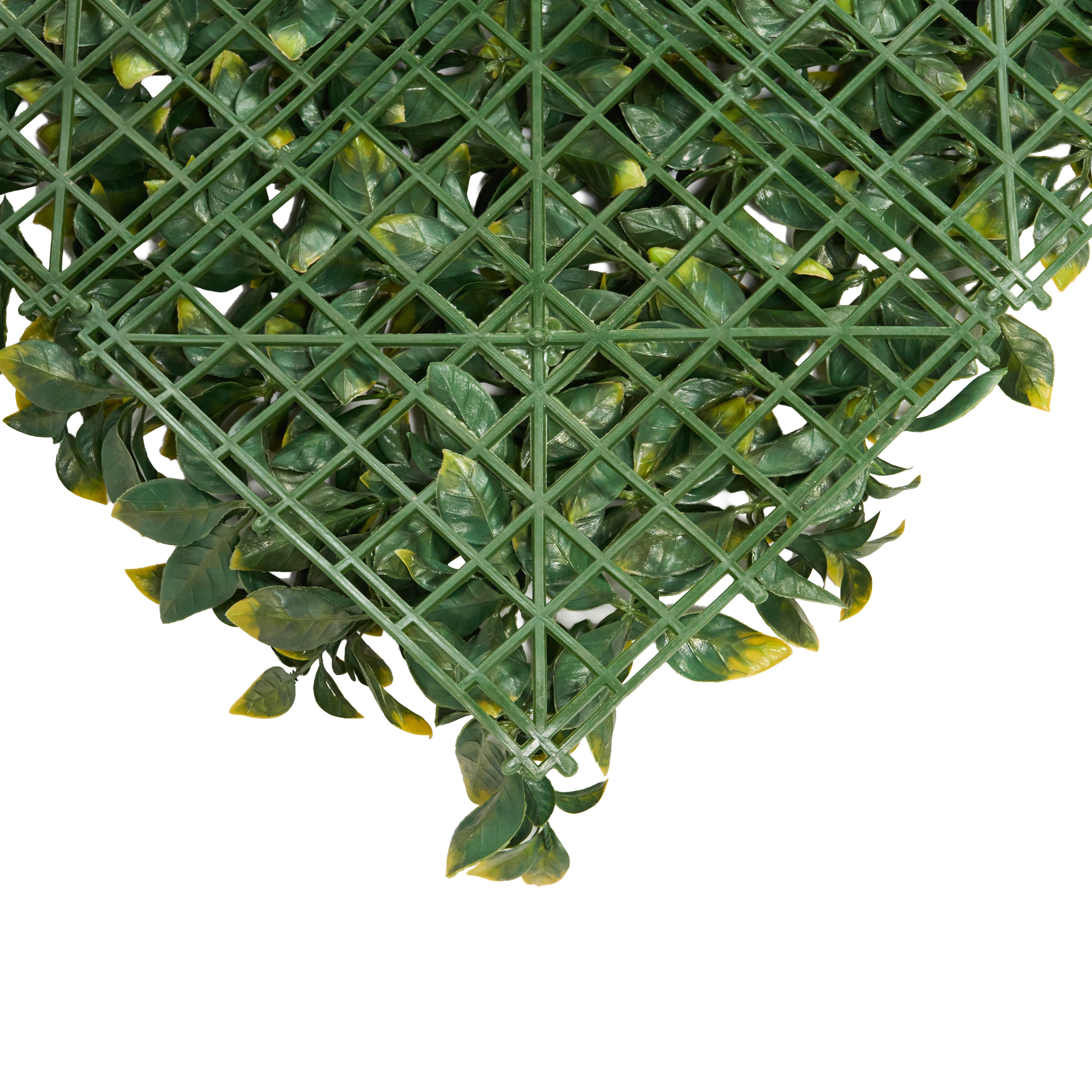 Envywall Benjamina Boxwood