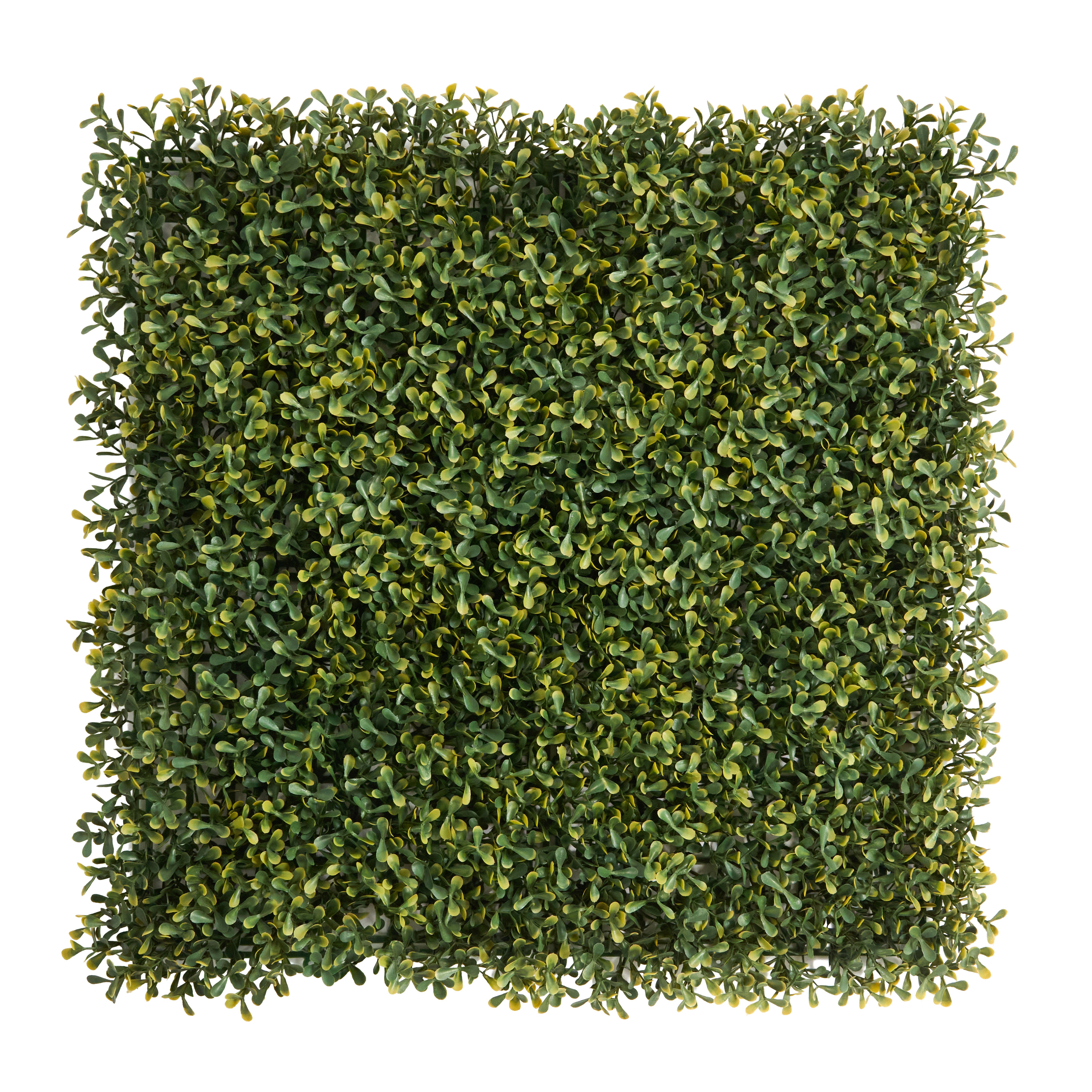 Envywall Boxwood Lite