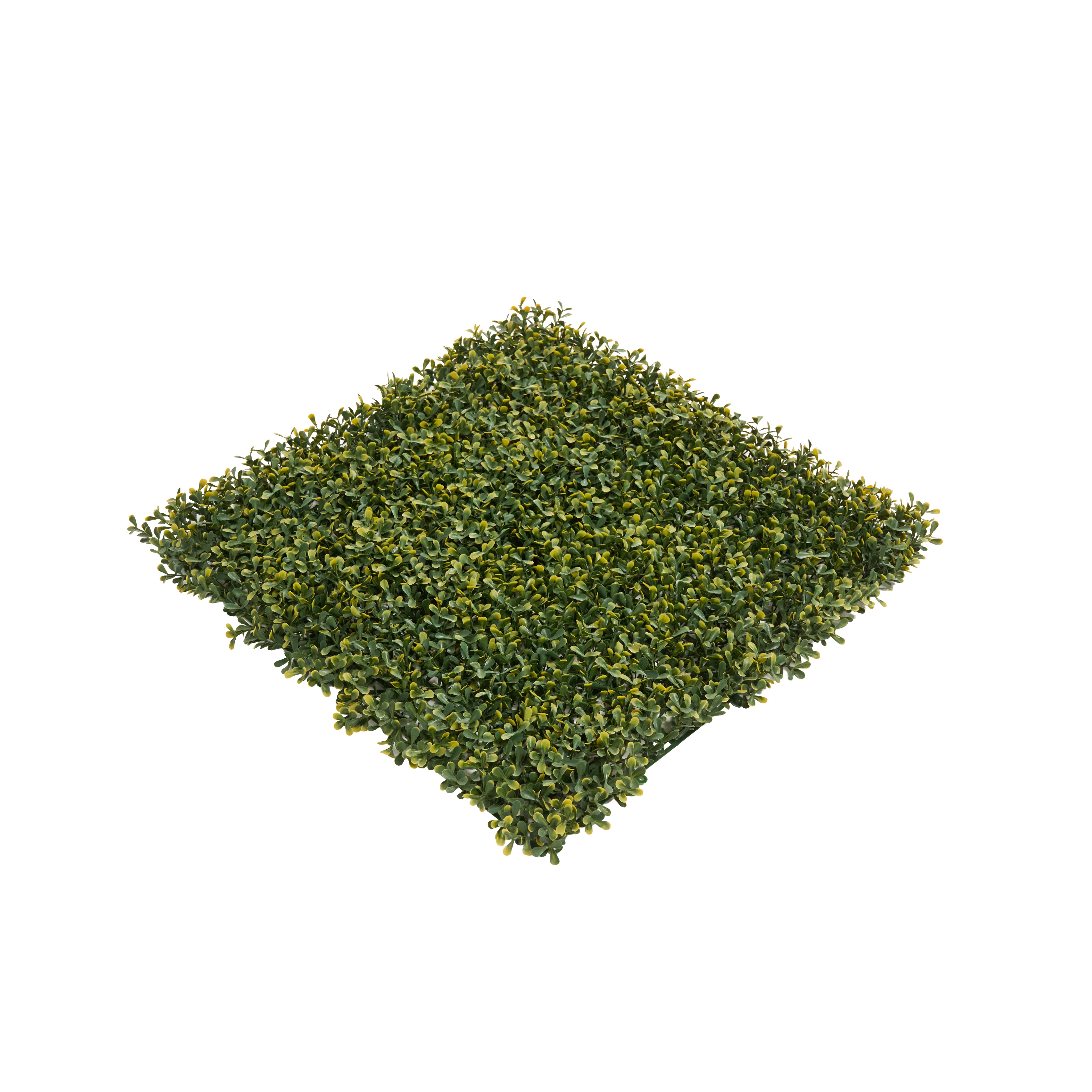 Envywall Boxwood Lite