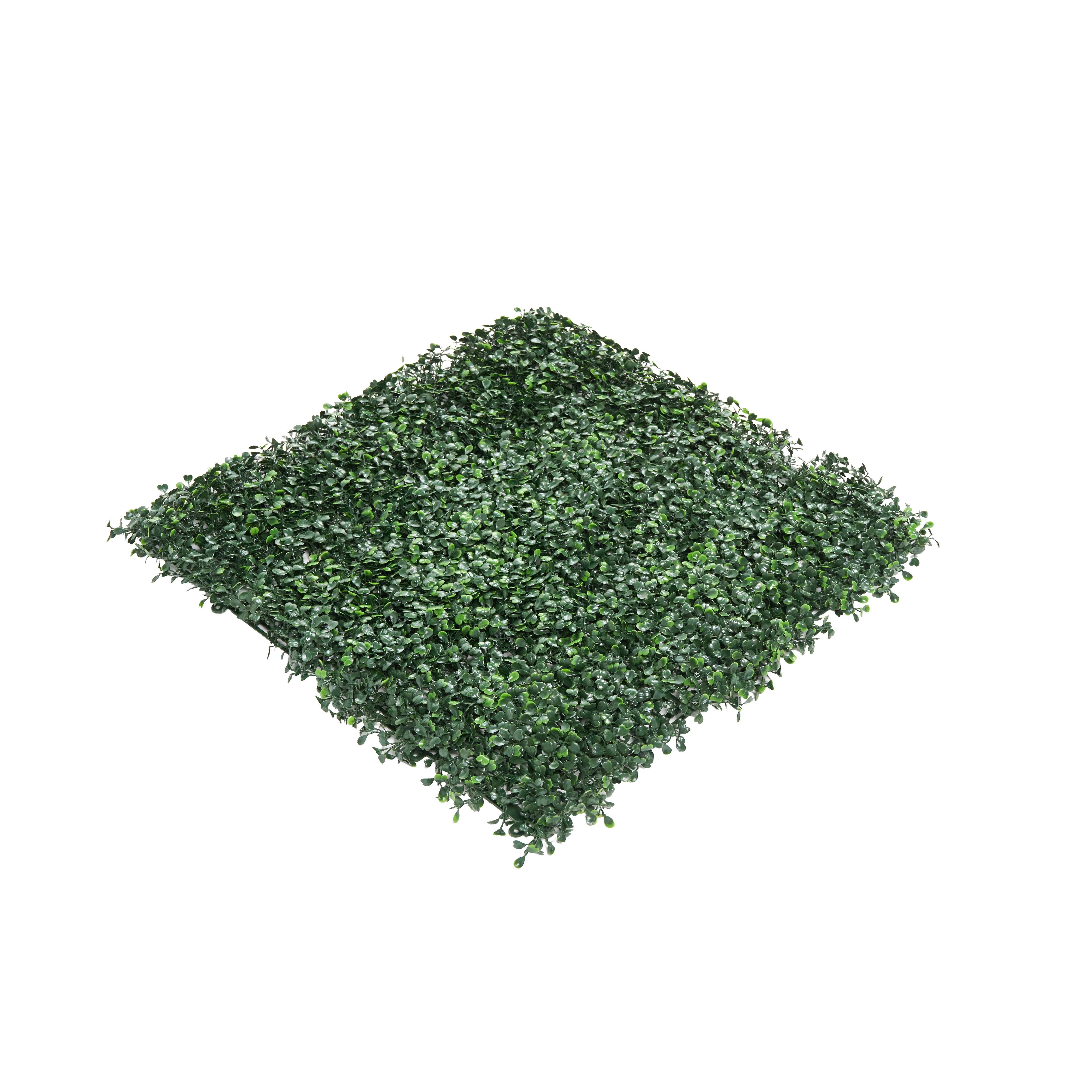 Envywall Boxwood