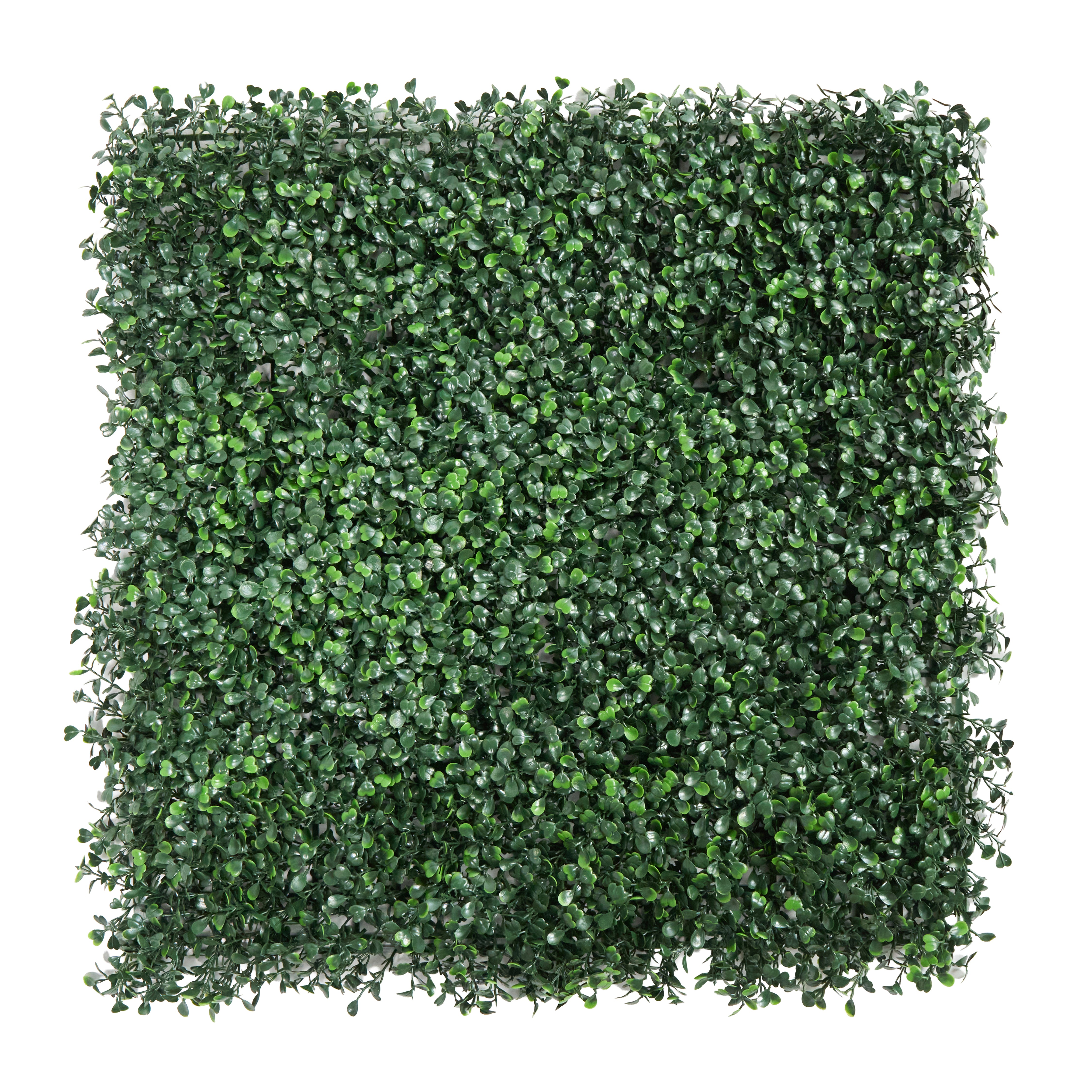Envywall Boxwood
