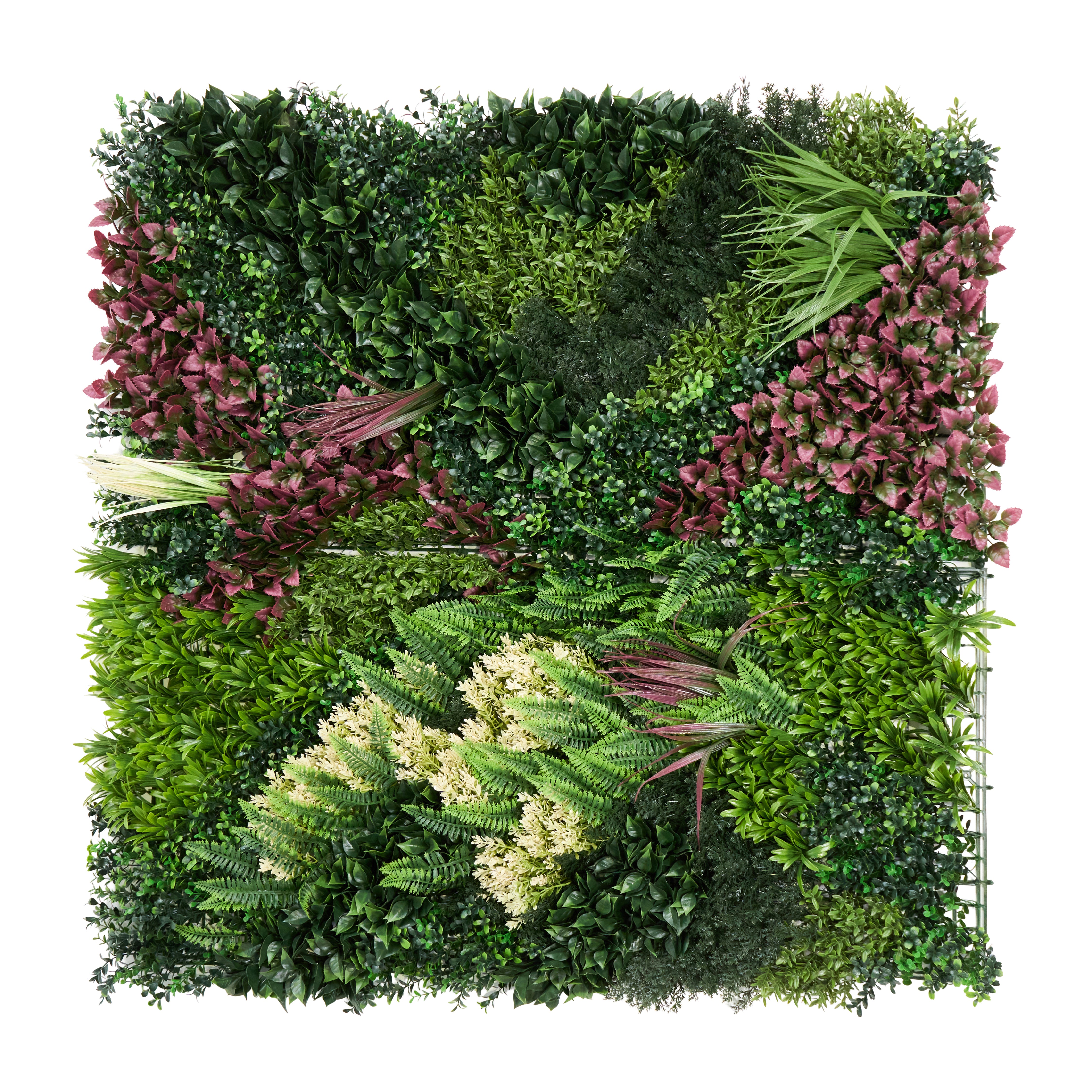 Envywall Living Wall Panel