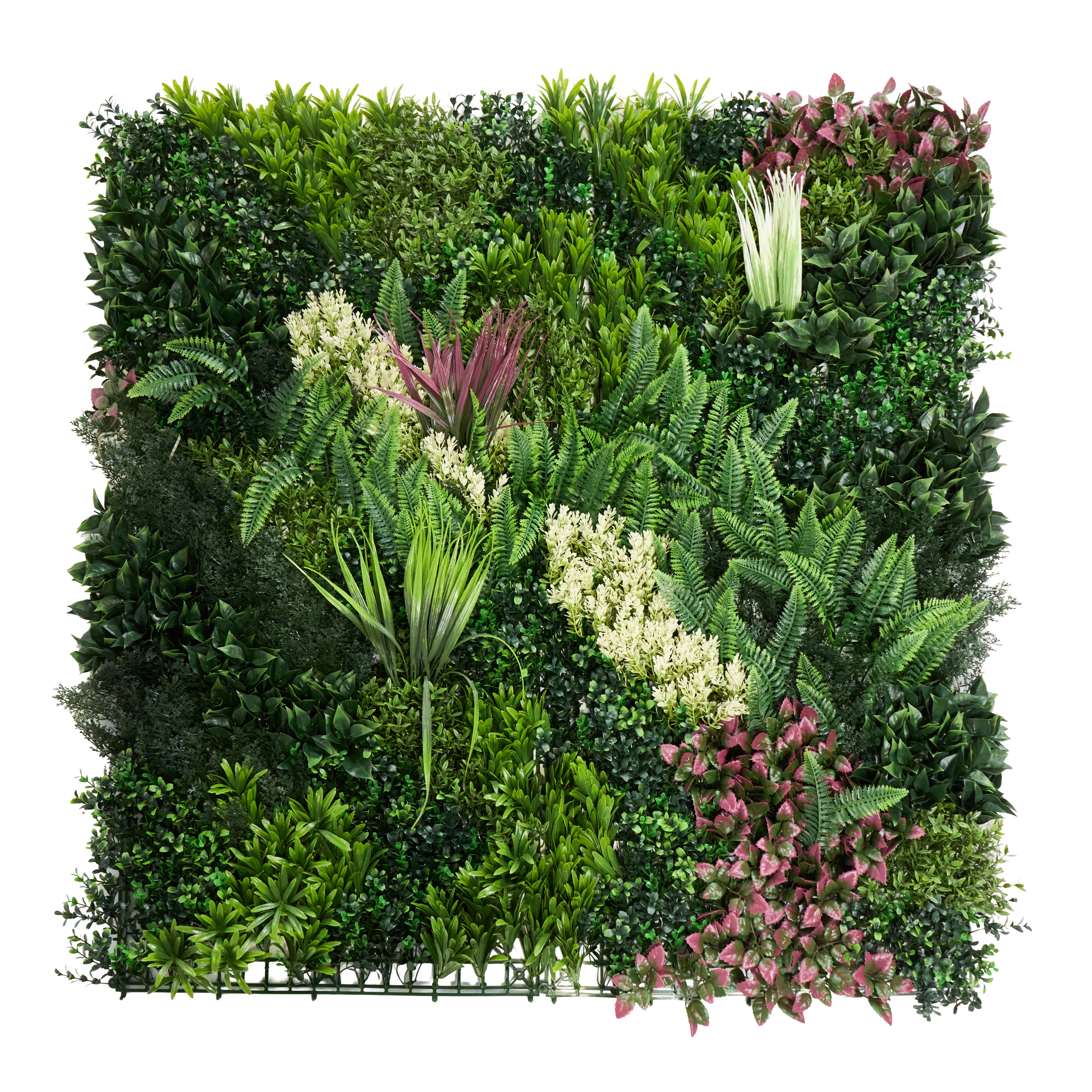 Envywall Living Wall Panel