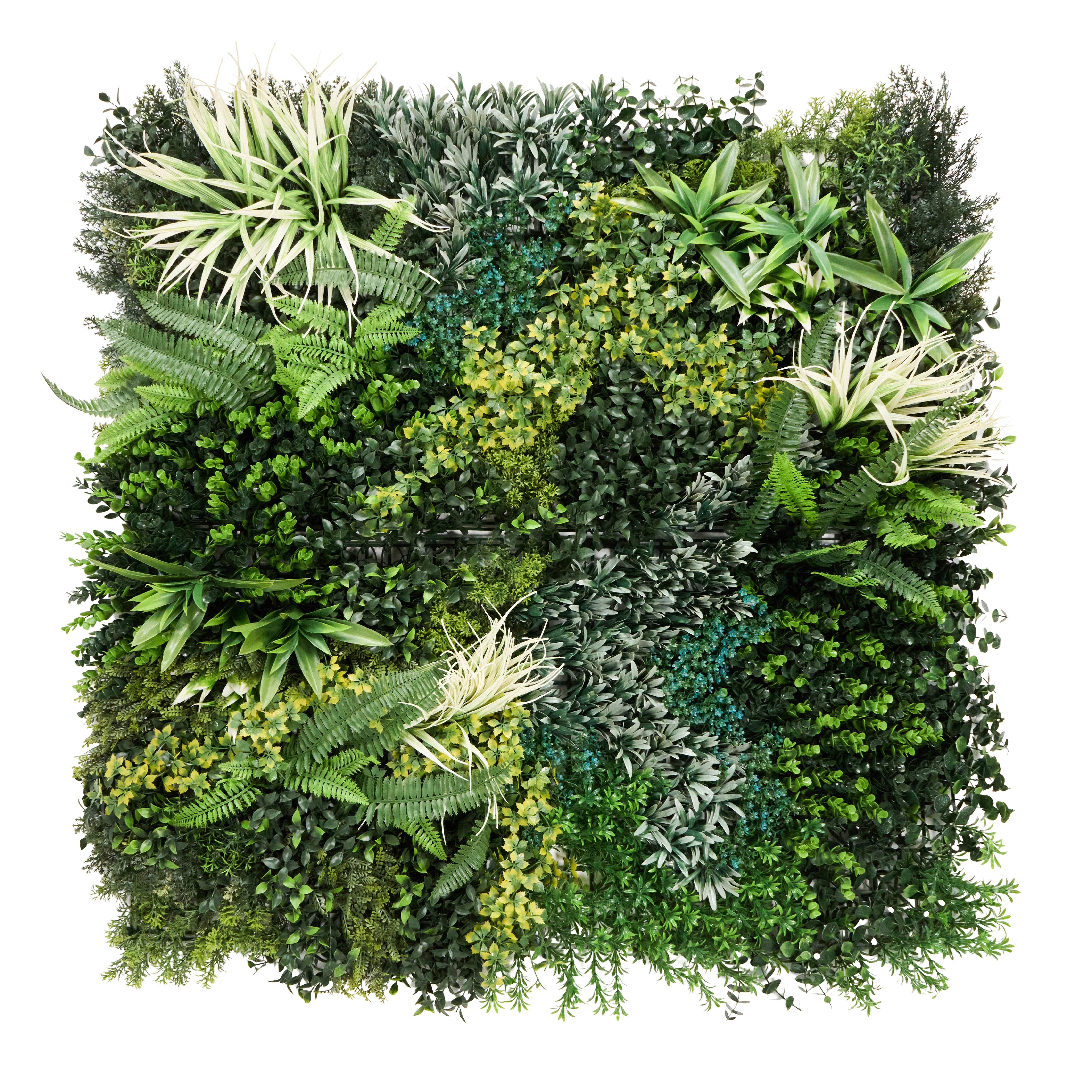 Magnolia Envywall Living Wall Panel