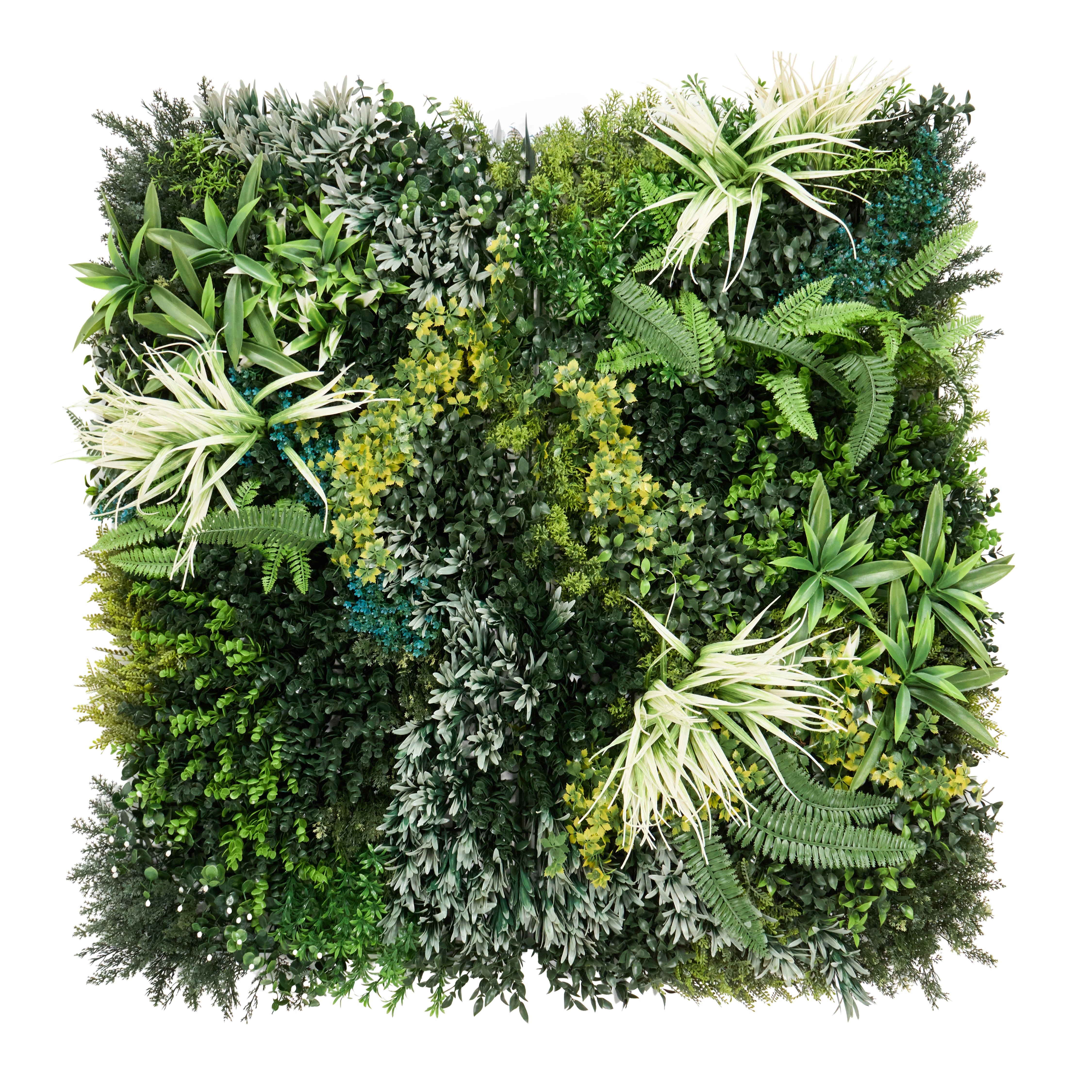 Magnolia Envywall Living Wall Panel