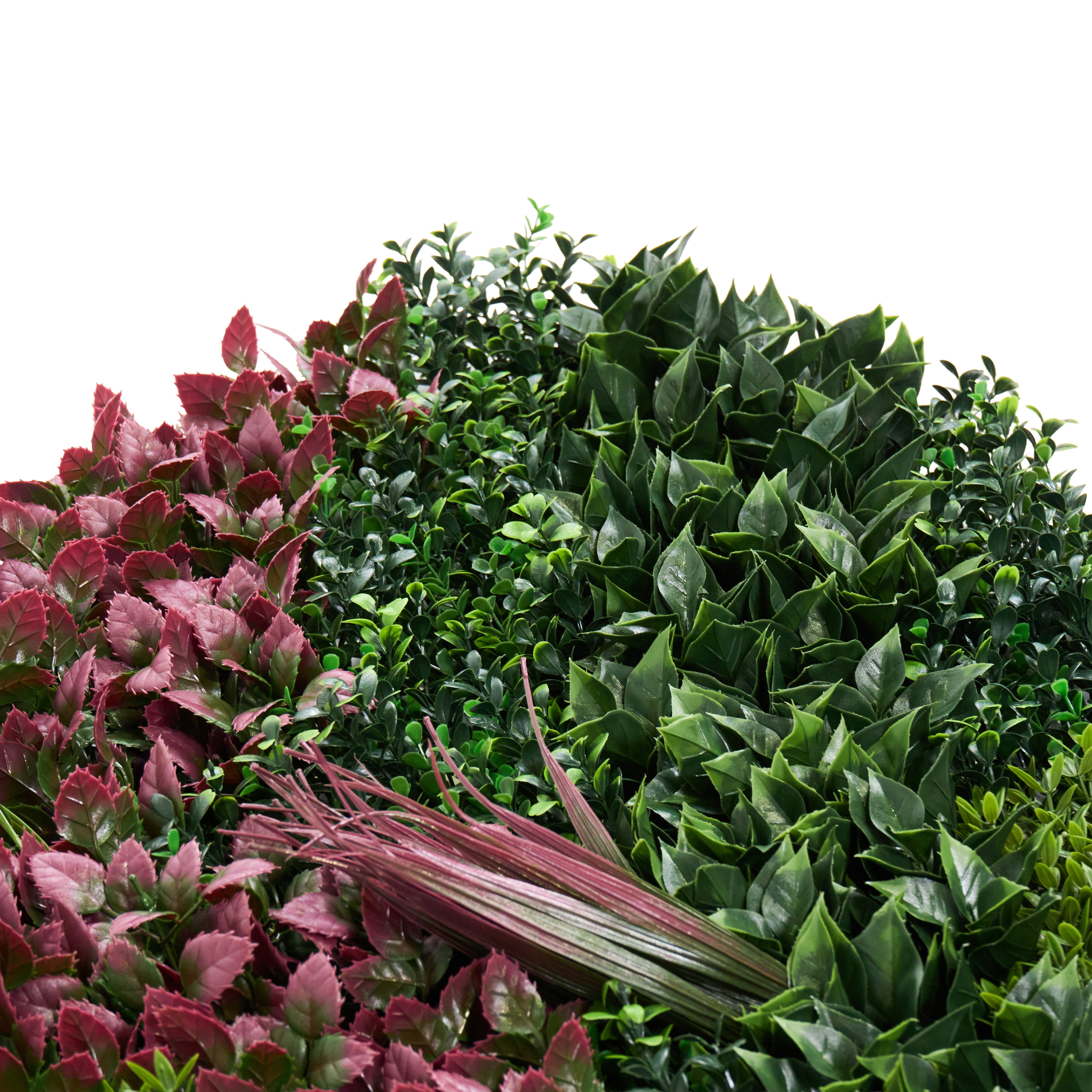 Envywall Living Wall Panel