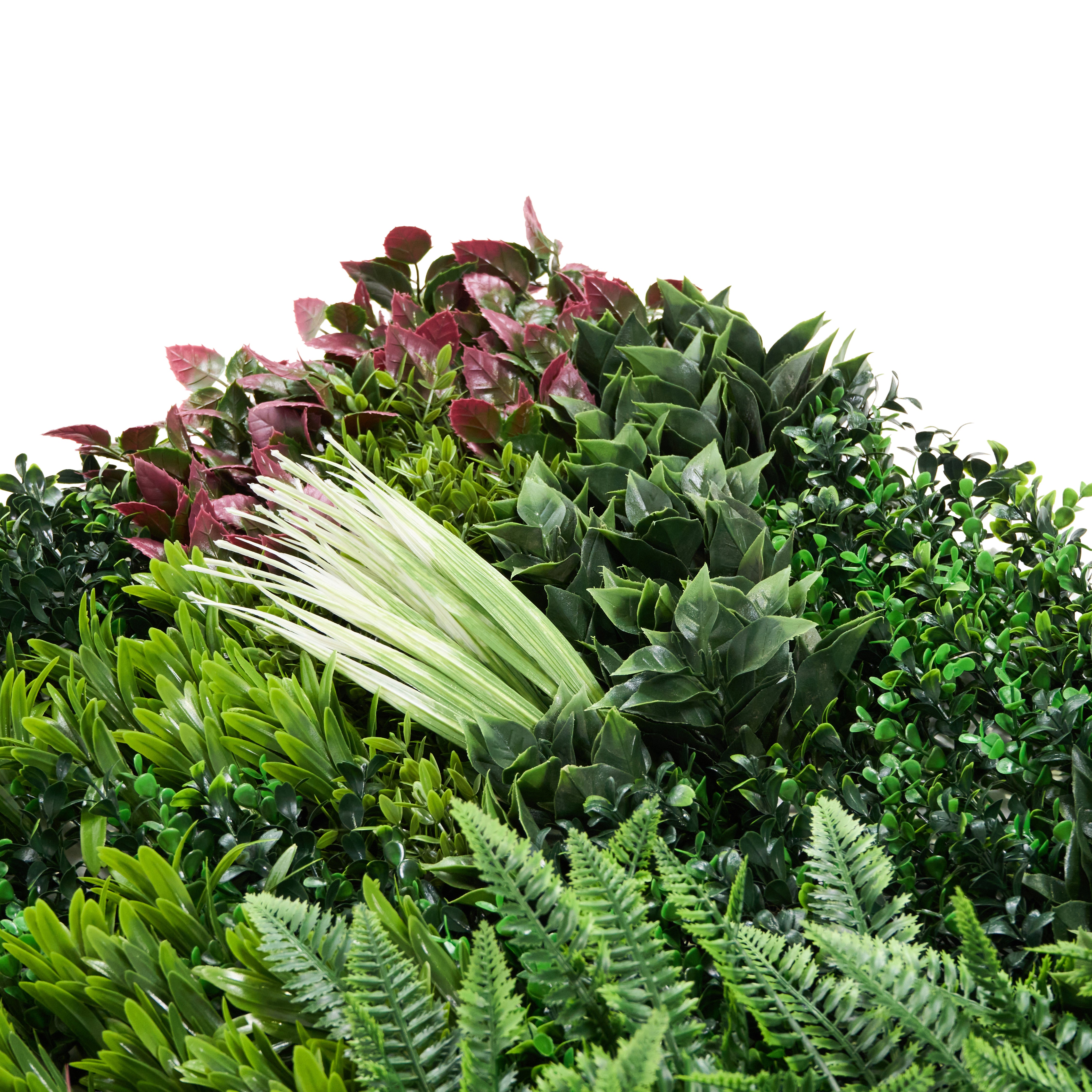 Envywall Living Wall Panel