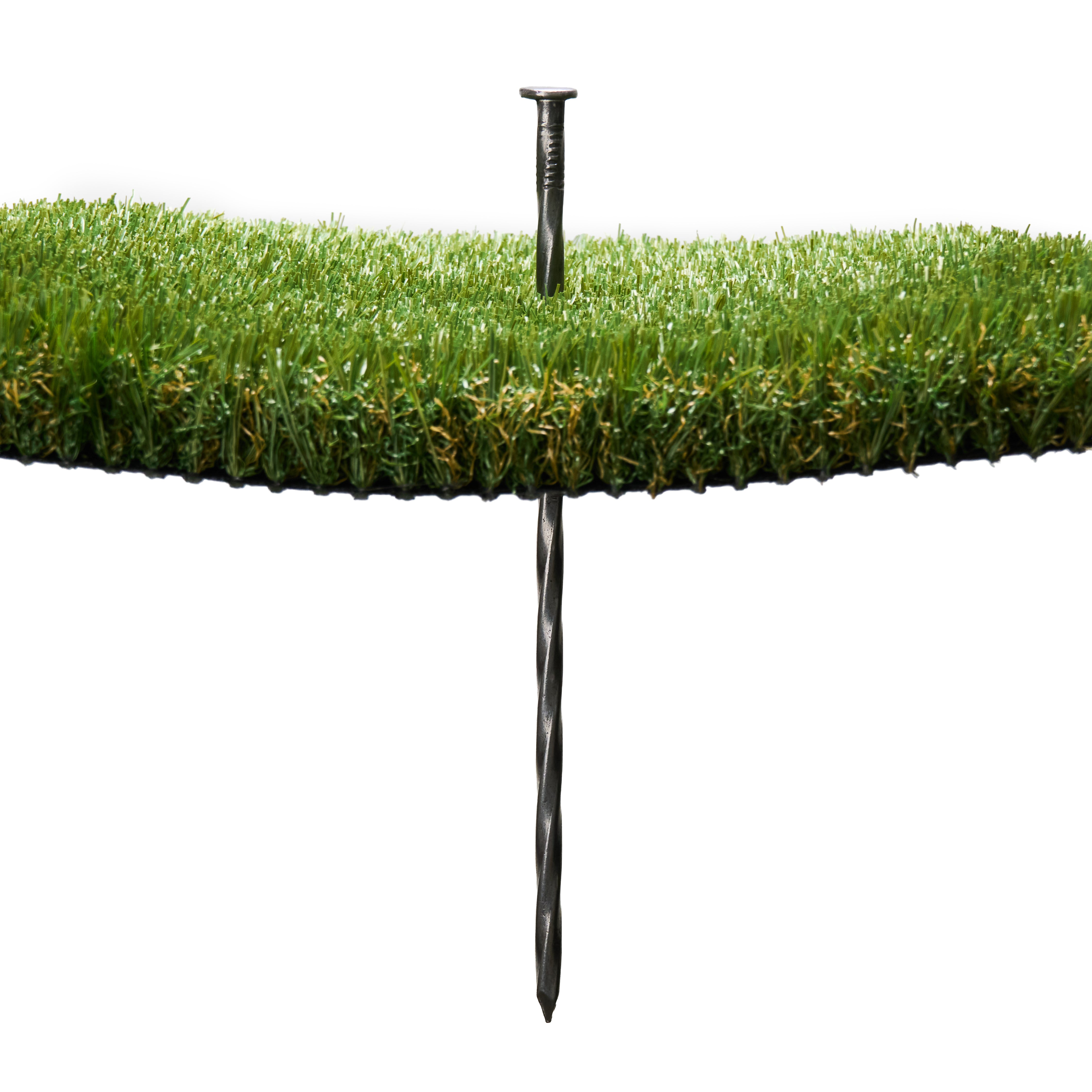 Spiral Turf Nails – 6" & 10"