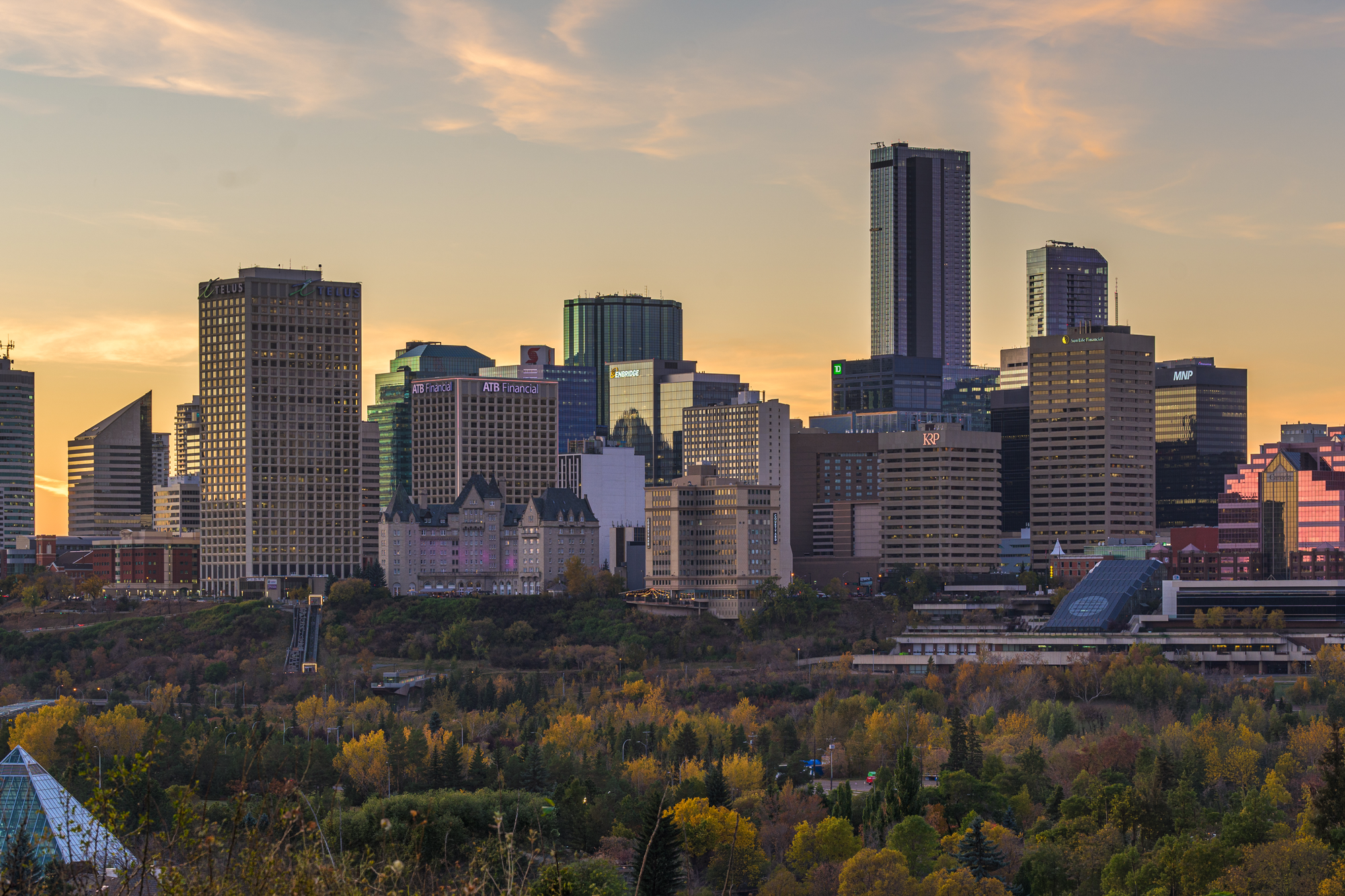 Artificial Grass in Edmonton AB