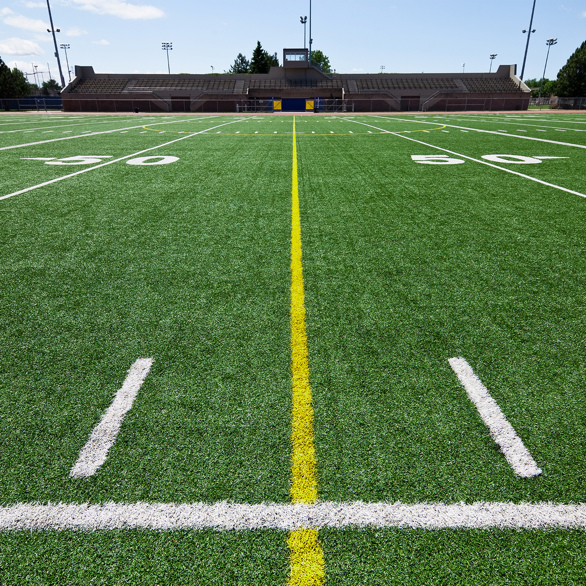 Sports Turf