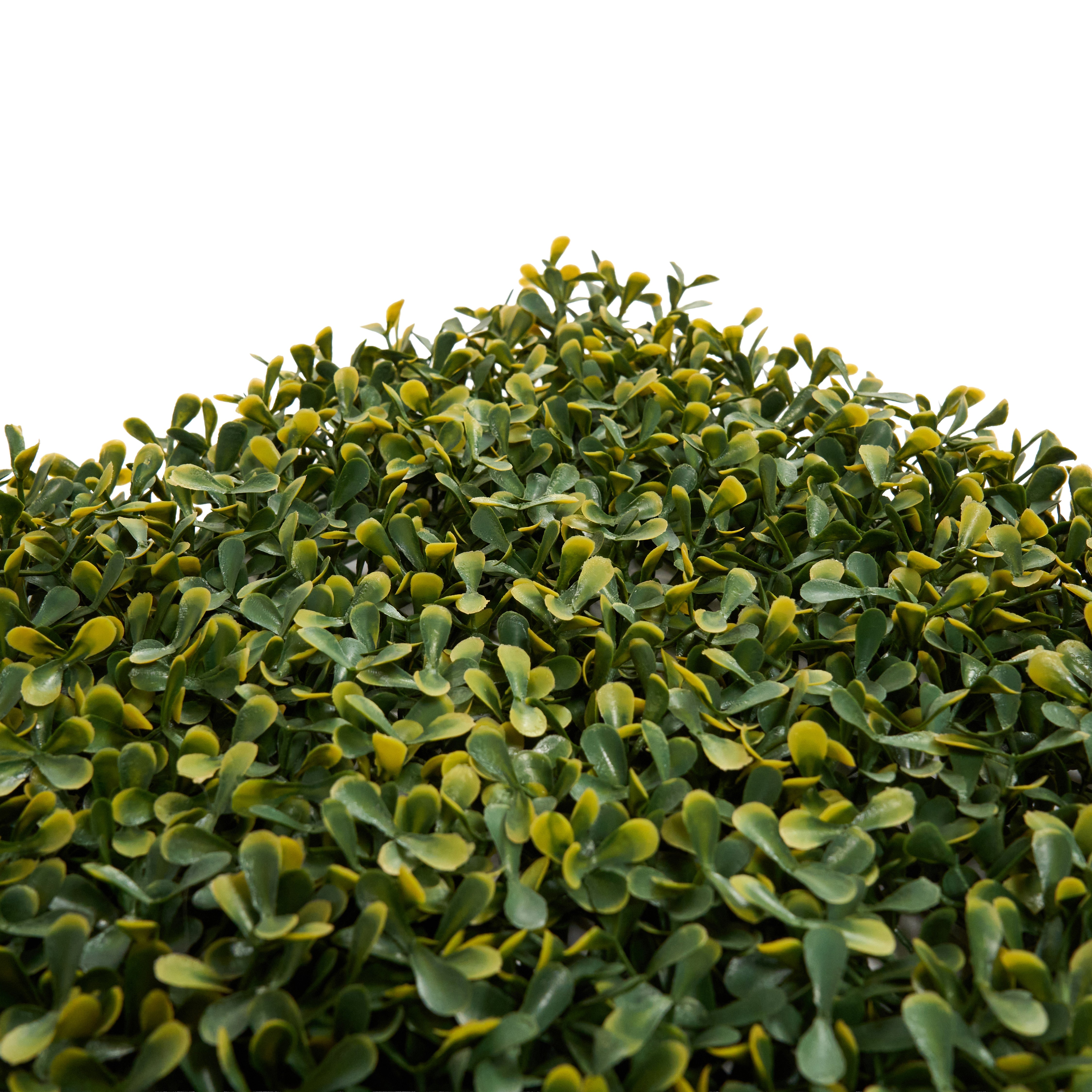 Envywall Boxwood Lite