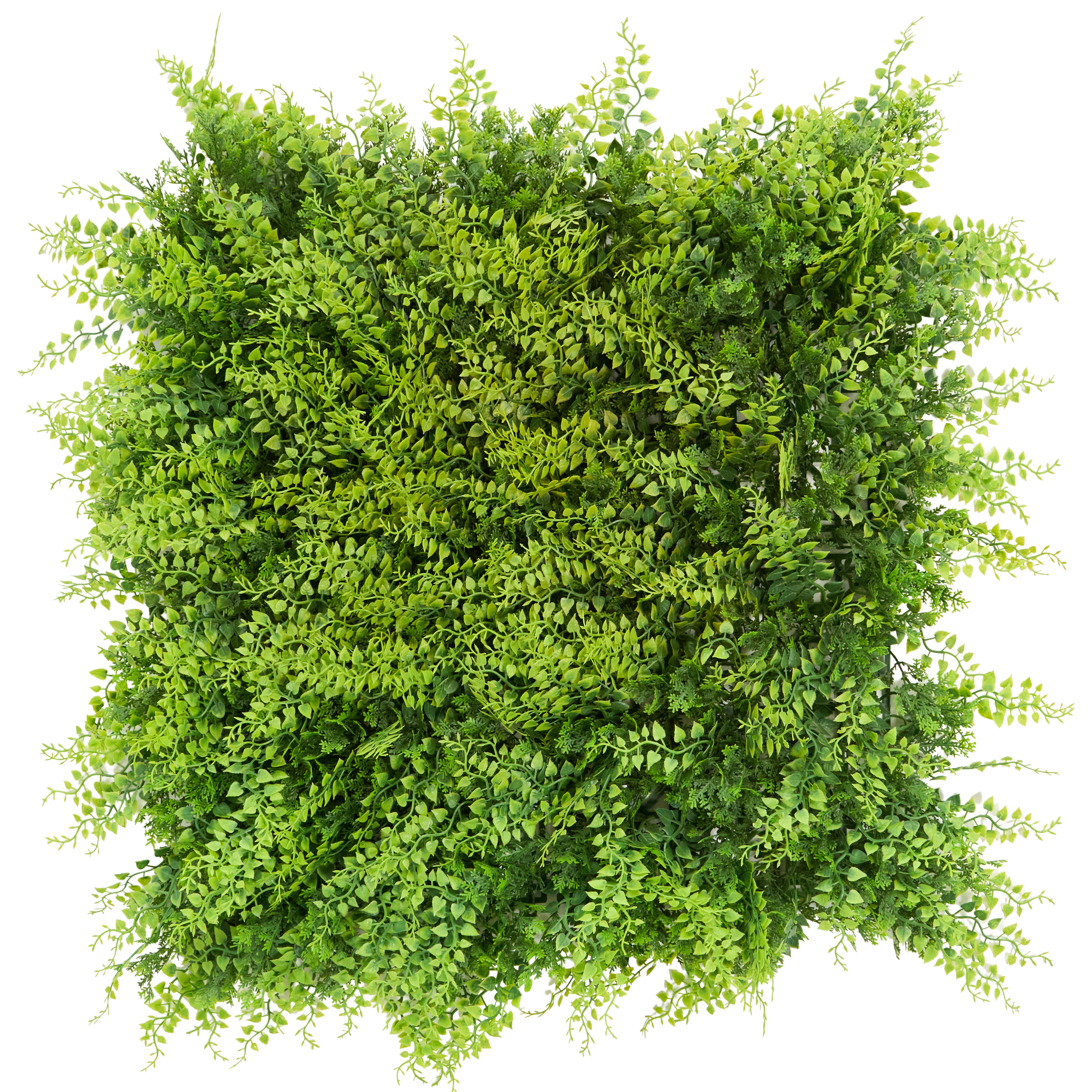 Envywall Fern Panel