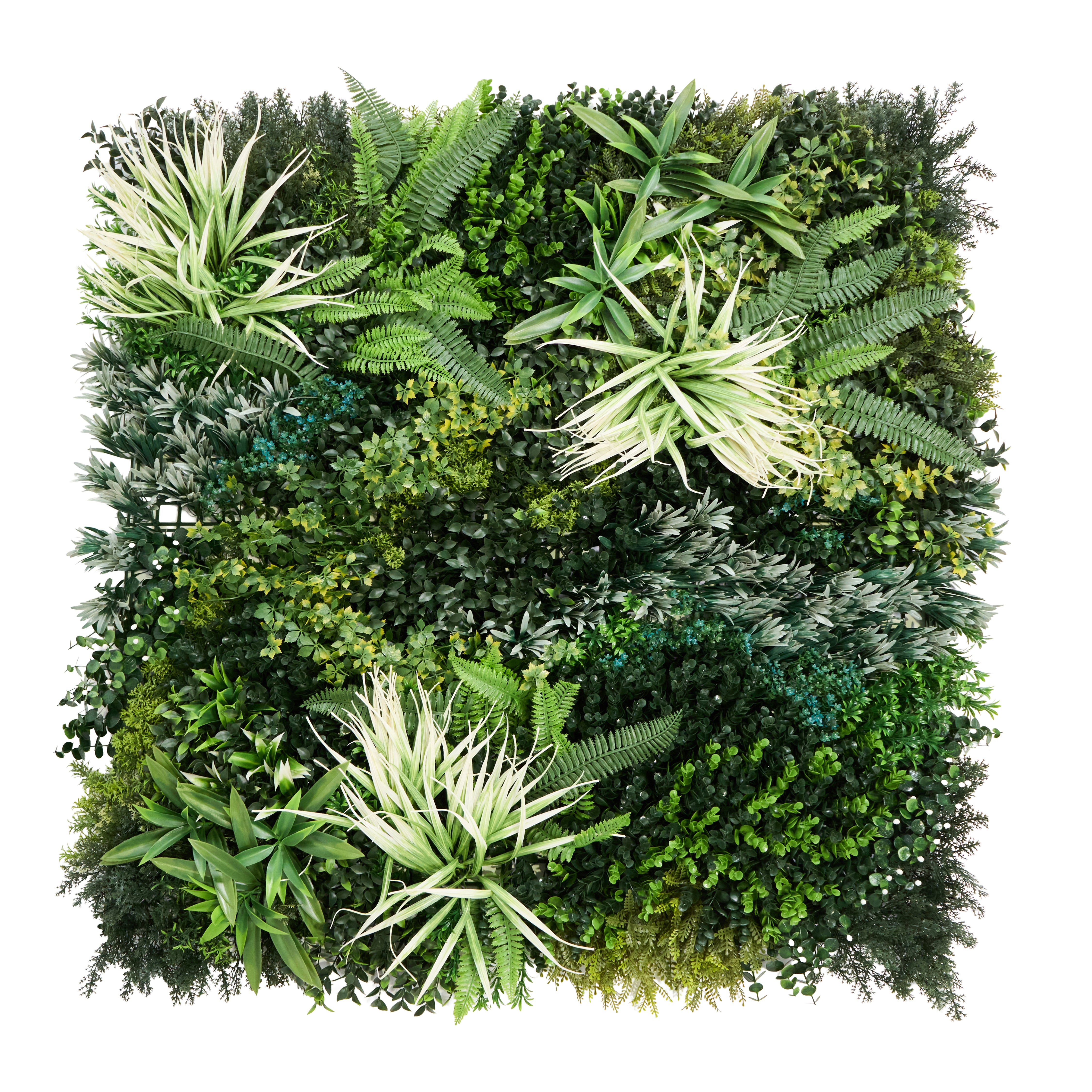 Magnolia Envywall Living Wall Panel