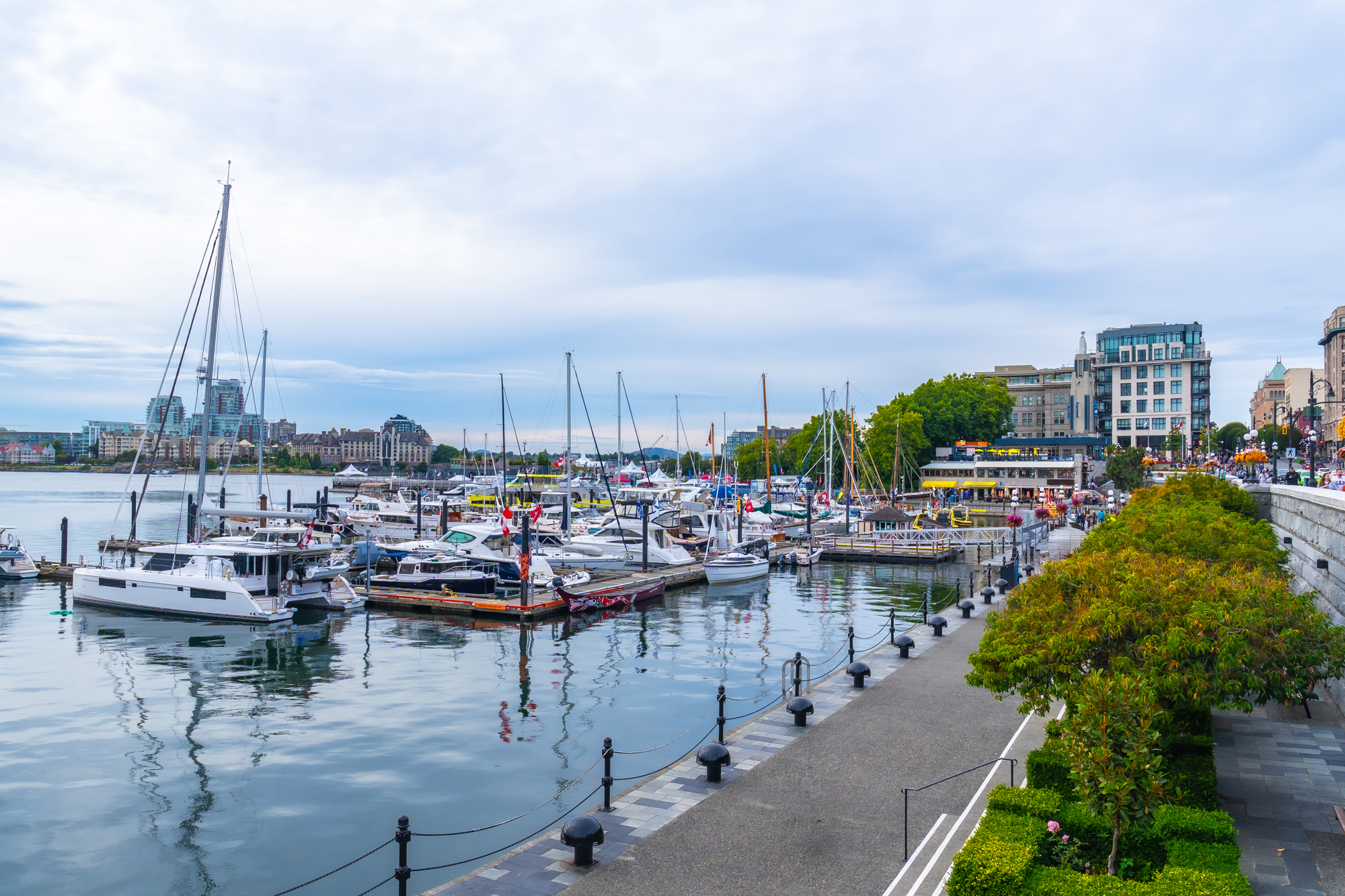 Artificial Grass in Victoria & Vancouver Island